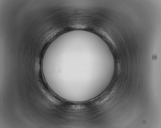 X0000099570541200806061605