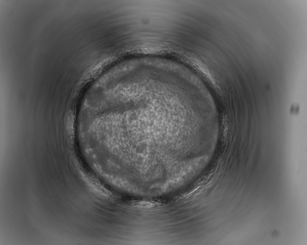 X0000099570542200806061605