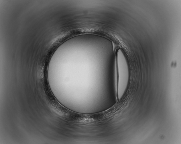 X0000099570543200806061605