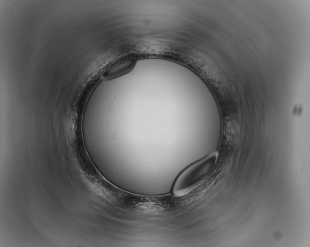 X0000099570544200806061605