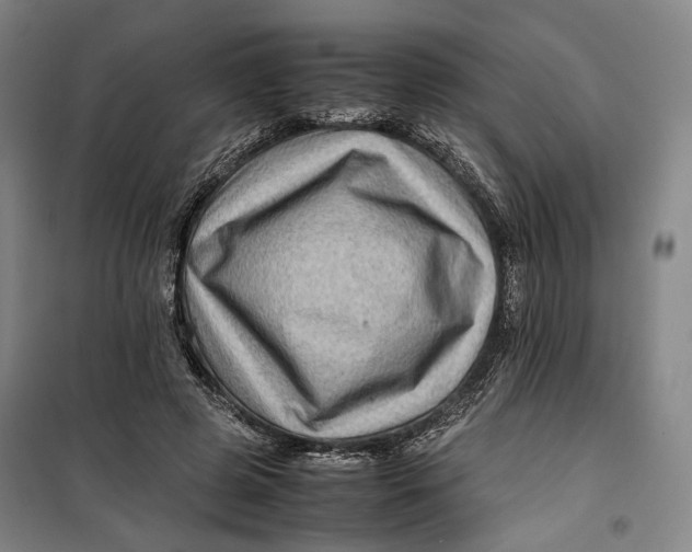 X0000099570545200806061605