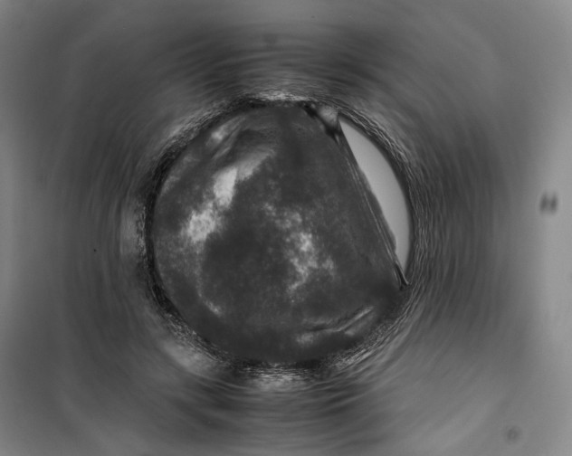 X0000099570547200806061605