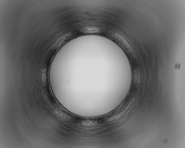 X0000099570549200806061605