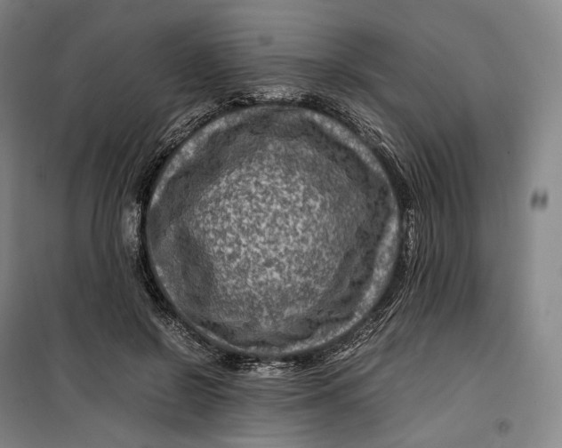 X0000099570550200806061605