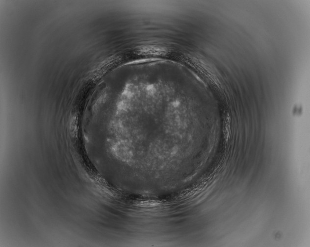 X0000099570551200806061605