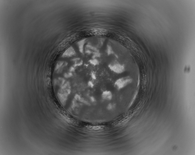 X0000099570553200806061605