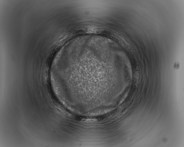 X0000099570554200806061605