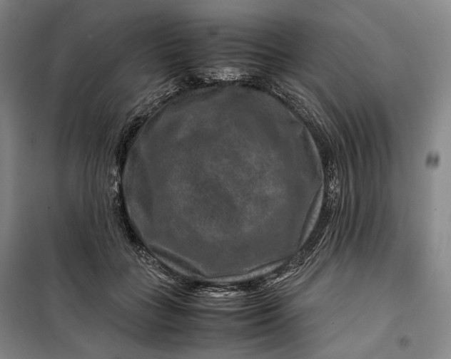 X0000099570555200806061605