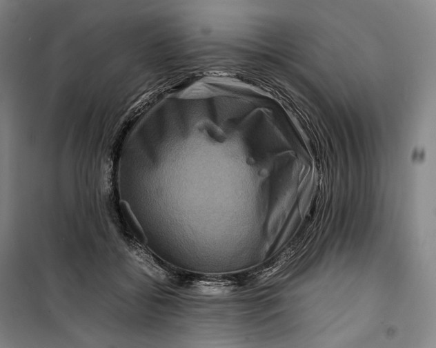 X0000099570556200806061605