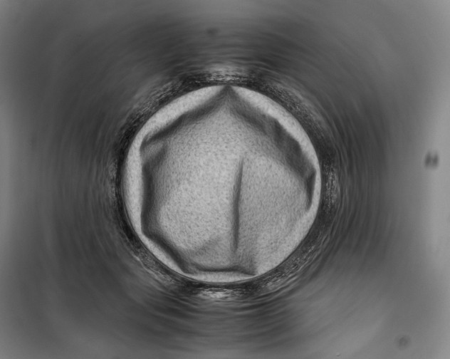 X0000099570557200806061605