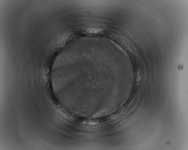 X0000099570559200806061605