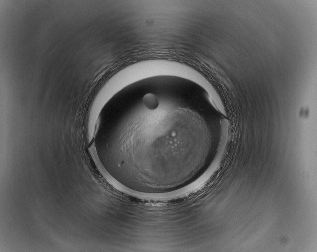 X0000099570560200806061606