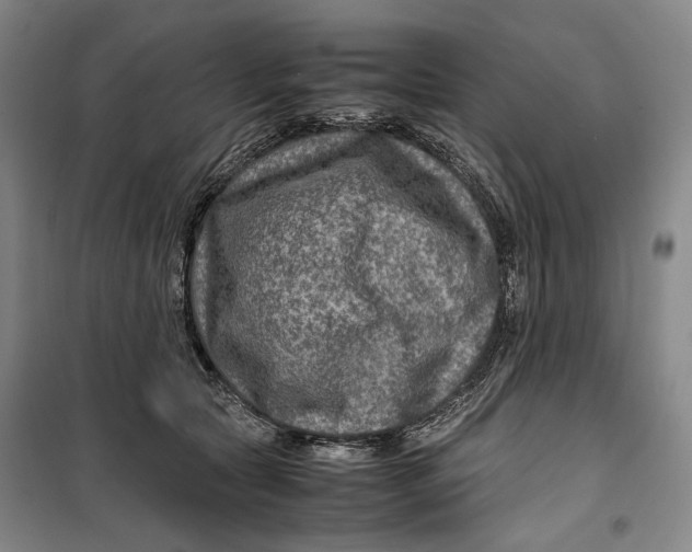 X0000099570561200806061606