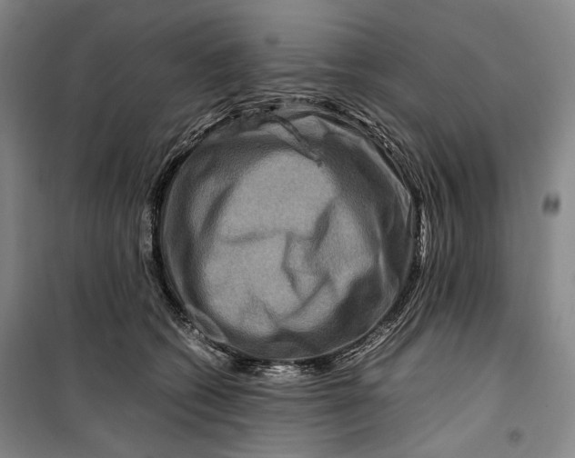 X0000099570562200806061606