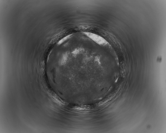 X0000099570563200806061606