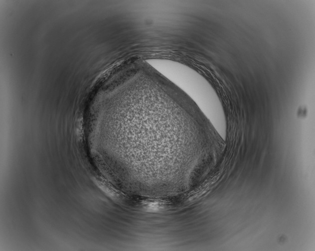 X0000099570564200806061606