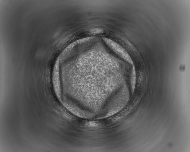 X0000099570565200806061606
