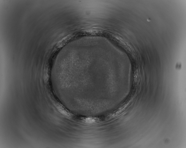 X0000099570566200806061606