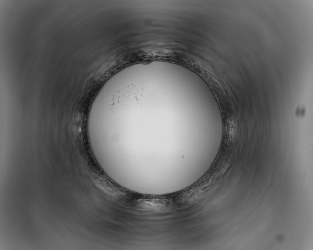 X0000099570567200806061606
