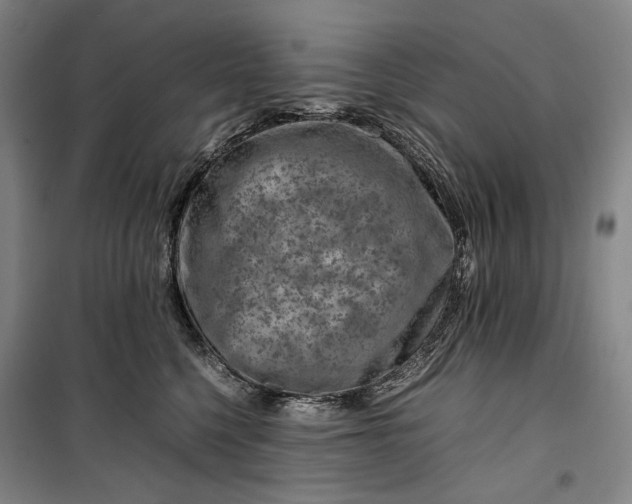 X0000099570568200806061606