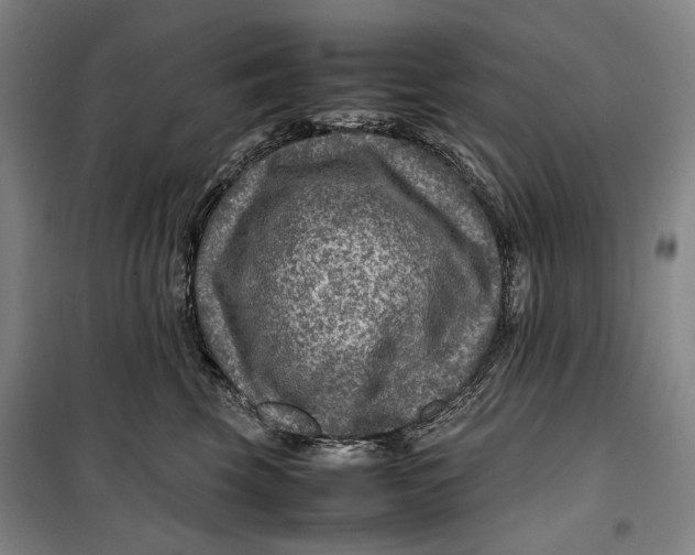 X0000099570569200806061606