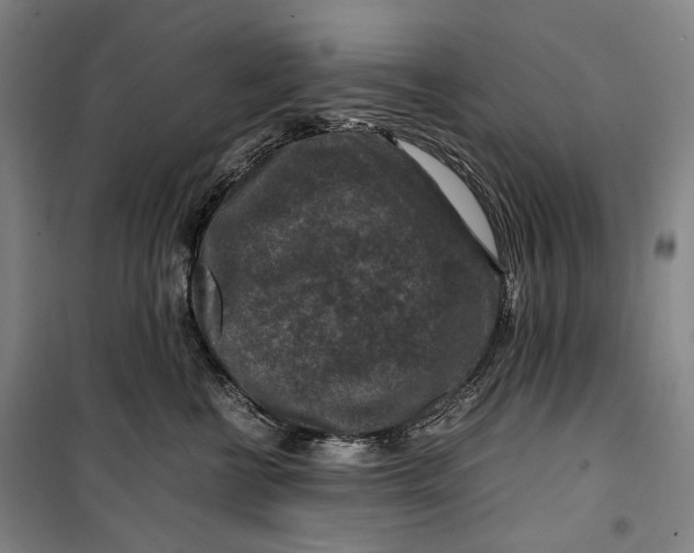X0000099570570200806061606