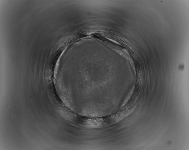 X0000099570571200806061606
