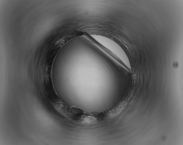 X0000099570572200806061606