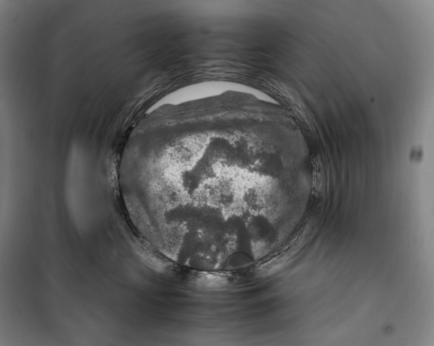 X0000099570573200806061606