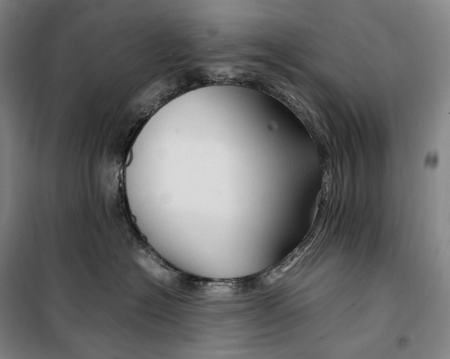 X0000099570574200806061606