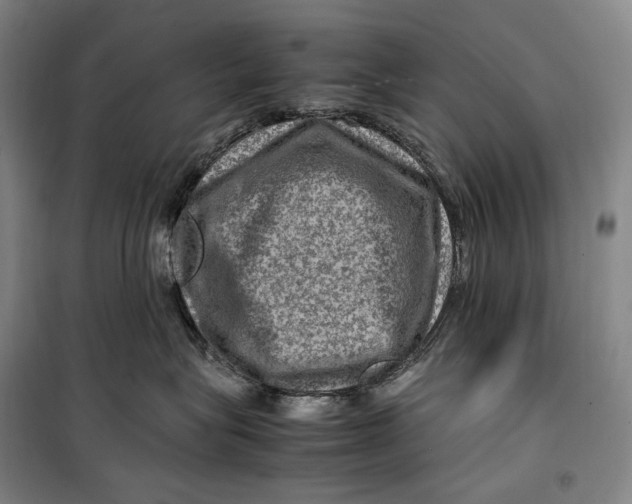 X0000099570575200806061606