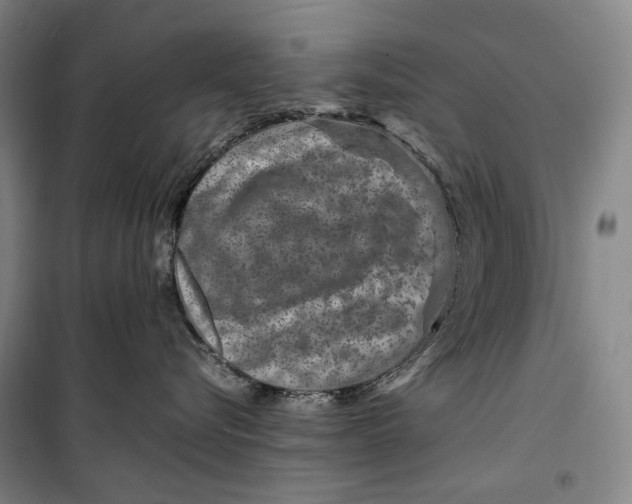 X0000099570576200806061606