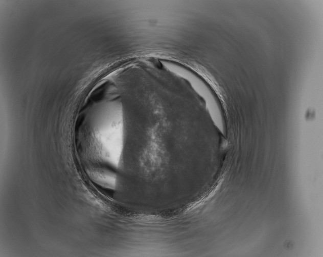 X0000099570577200806061605