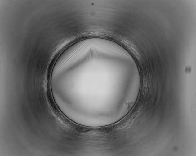 X0000099570578200806061605