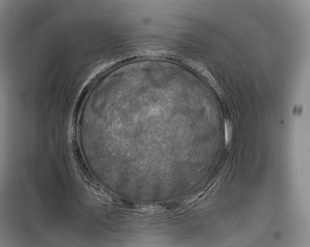 X0000099570579200806061605