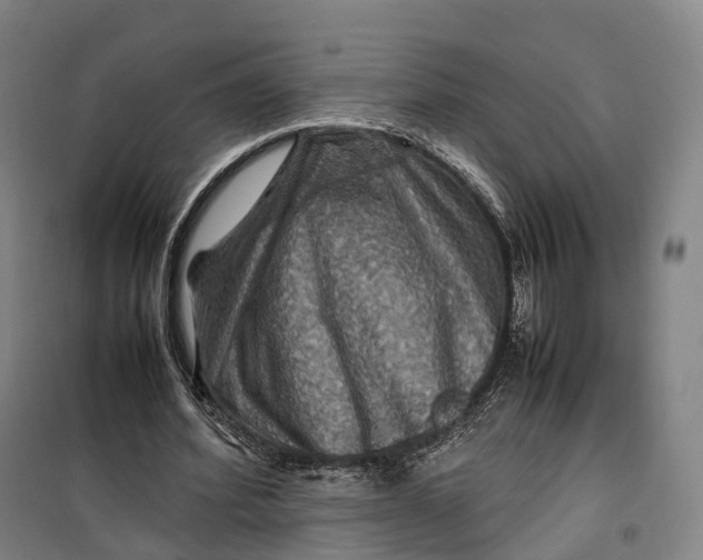 X0000099570580200806061605