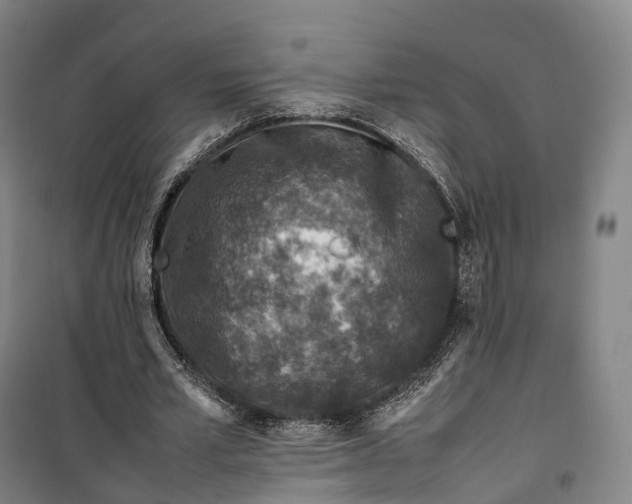 X0000099570581200806061605
