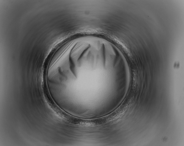 X0000099570582200806061605