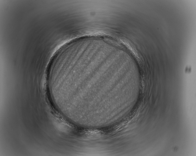 X0000099570583200806061605