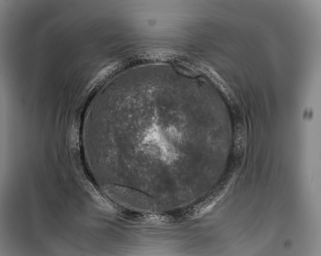 X0000099570585200806061605