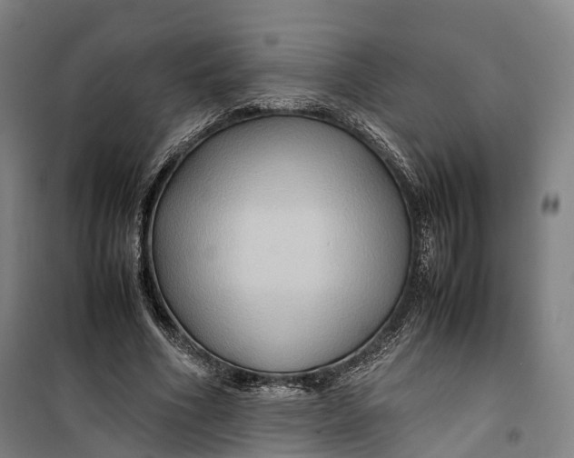 X0000099570586200806061605