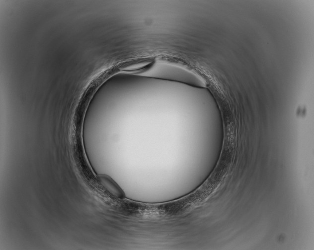 X0000099570587200806061605