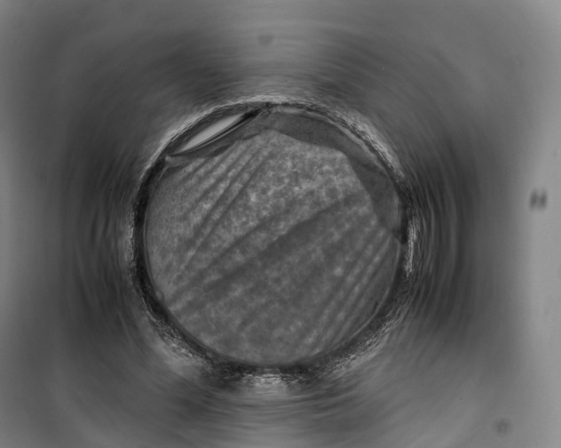 X0000099570588200806061605