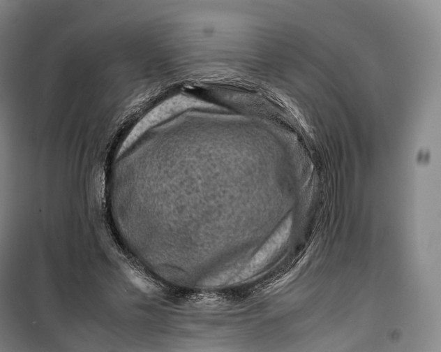 X0000099570589200806061605