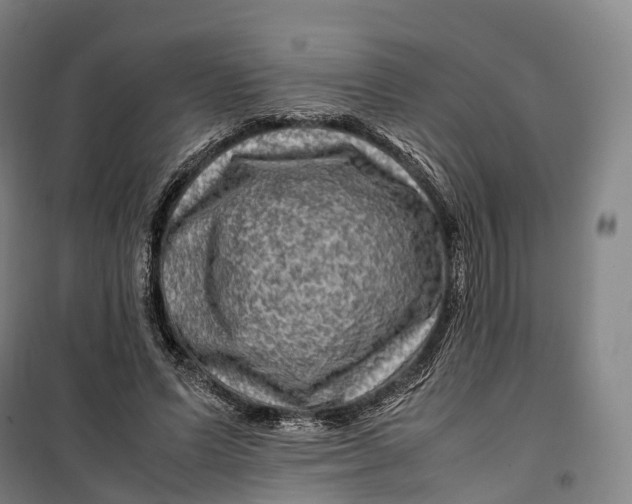 X0000099570591200806061605