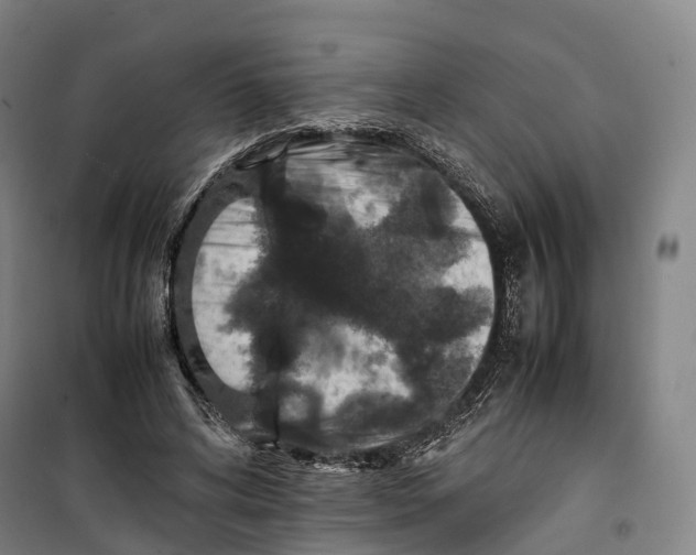 X0000099570592200806061605