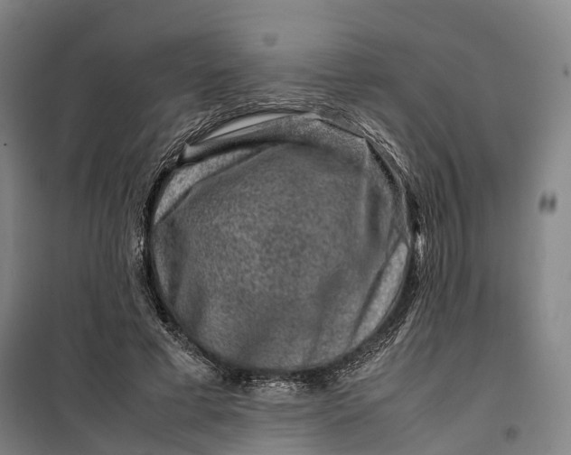 X0000099570593200806061605
