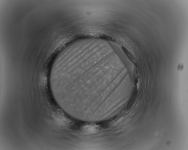 X0000099570595200806061605