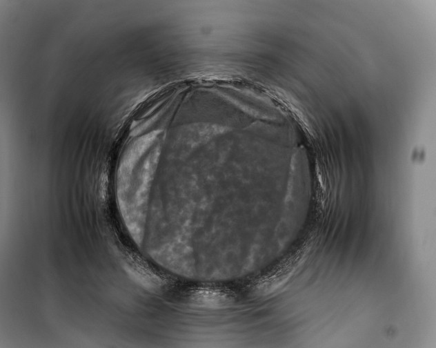 X0000099570596200806061605