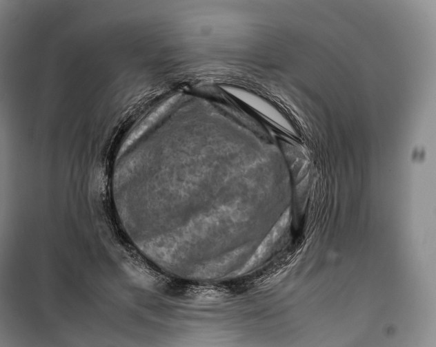 X0000099570597200806061605